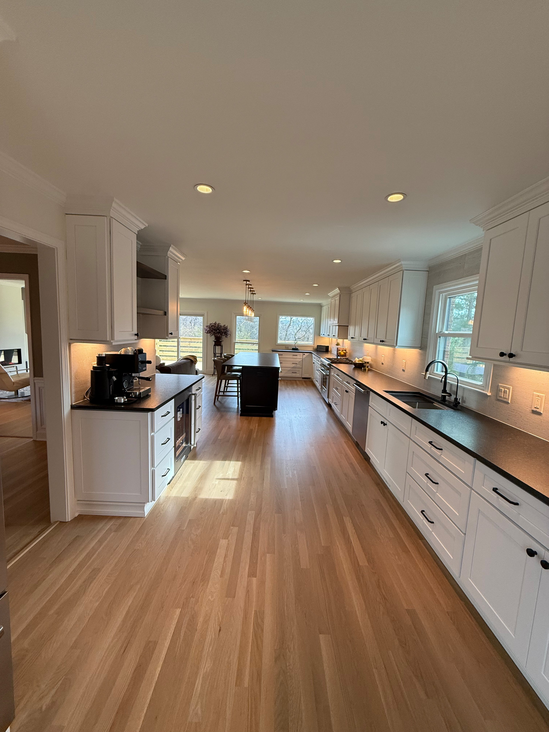 Franklin Complete Kitchen and LR Reno