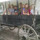 crystal_mcintyre98