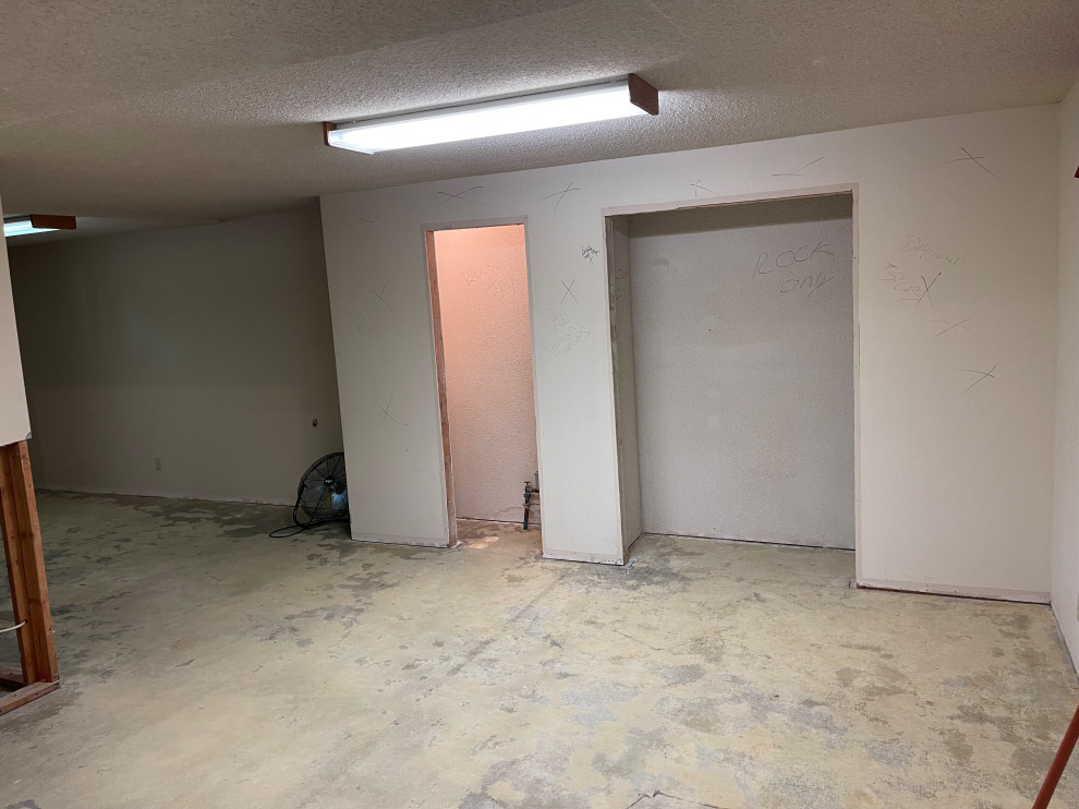 Basement Remodel