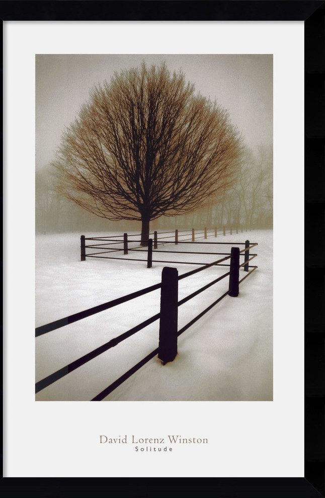 Solitude Framed Print by David Lorenz Winston