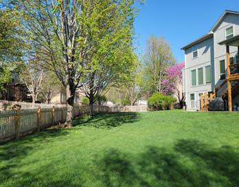 Before Back Yard Fence Line