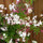 annie_yang53