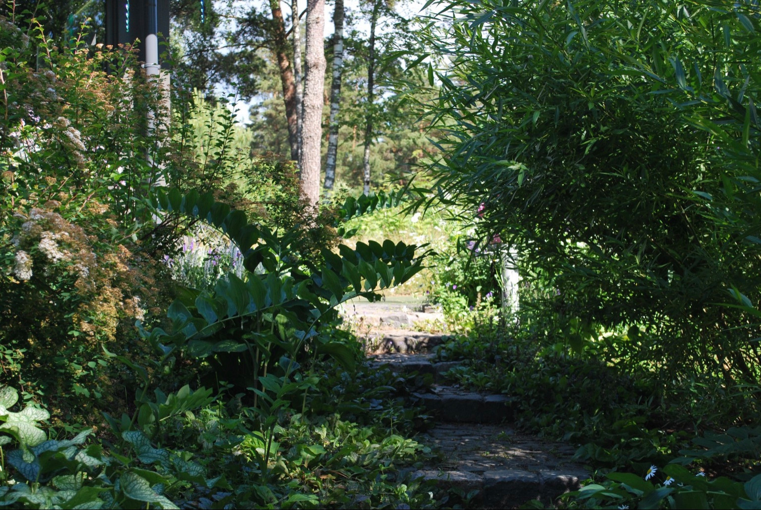 Сад натуралистического стиля