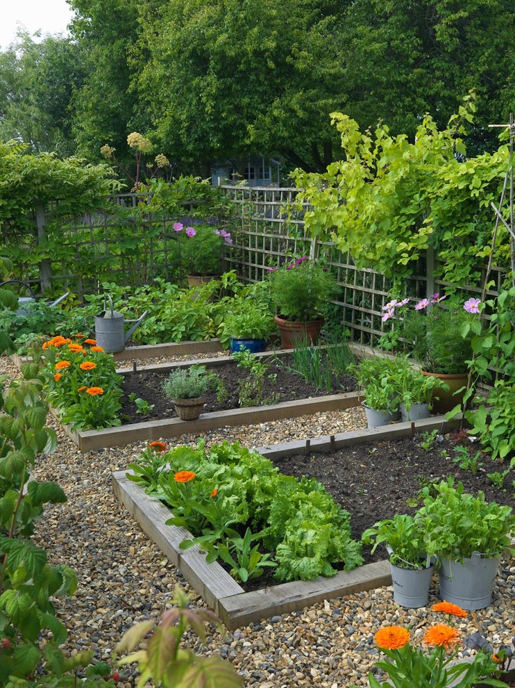 This is an example of a country backyard full sun garden in London with a vegetable garden and gravel.