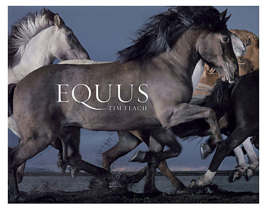 Equus by Tim Flach