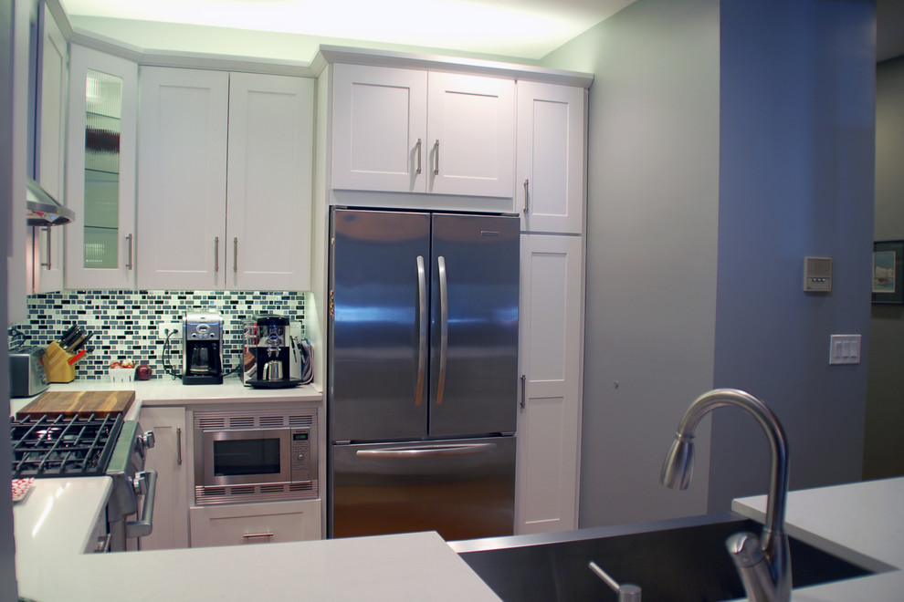 Kitchen - transitional kitchen idea in Chicago