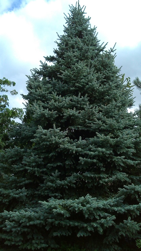 Уголок где хочется жить