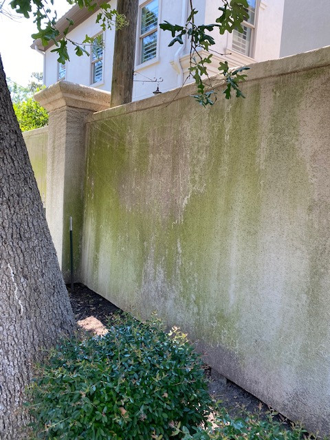 Pressure Wash 5000sf Alage-Stained Stucco