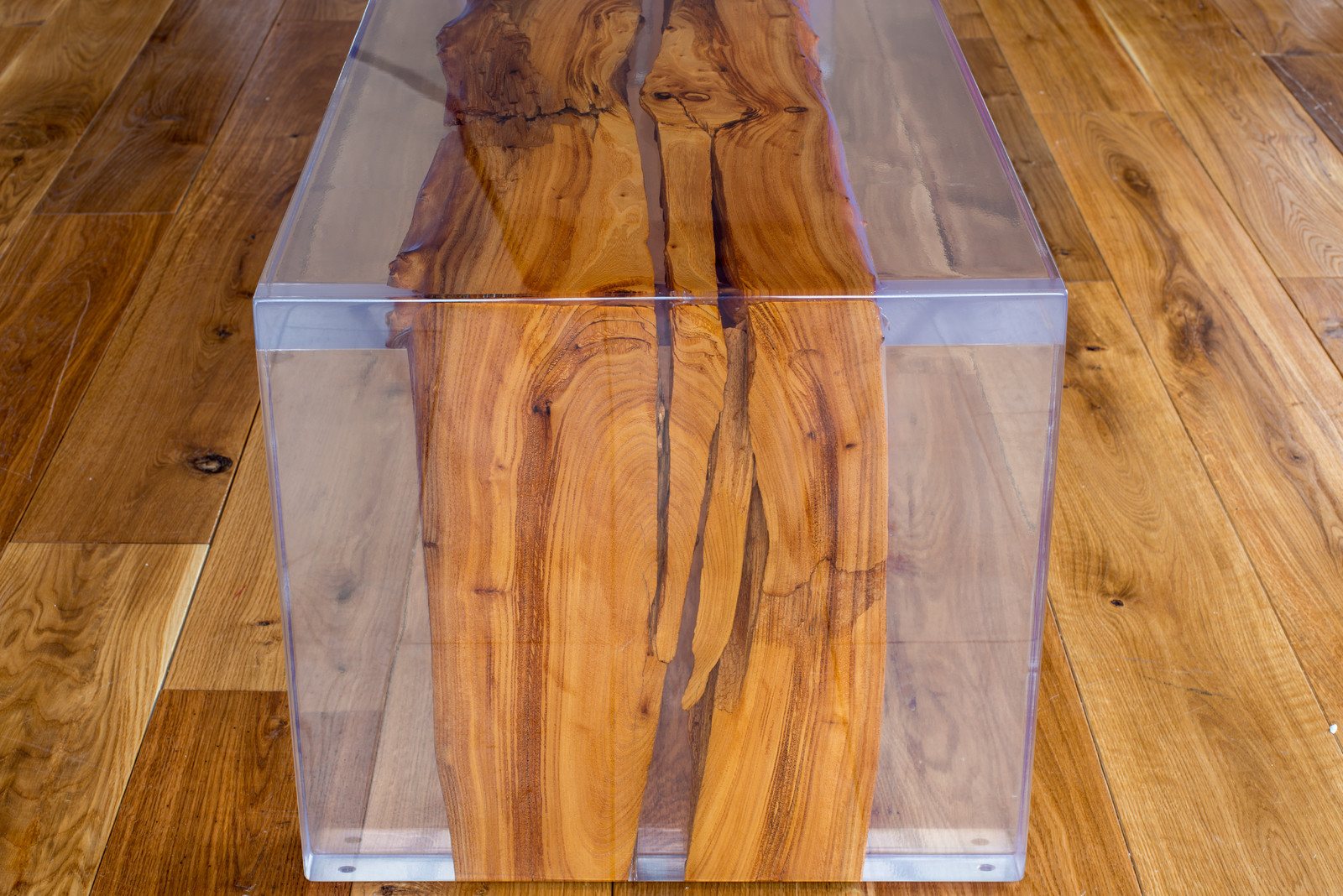 Консоль Ismylova