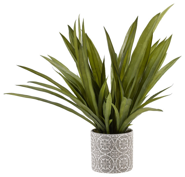Orchid Foliage In Round Ceramic Planter