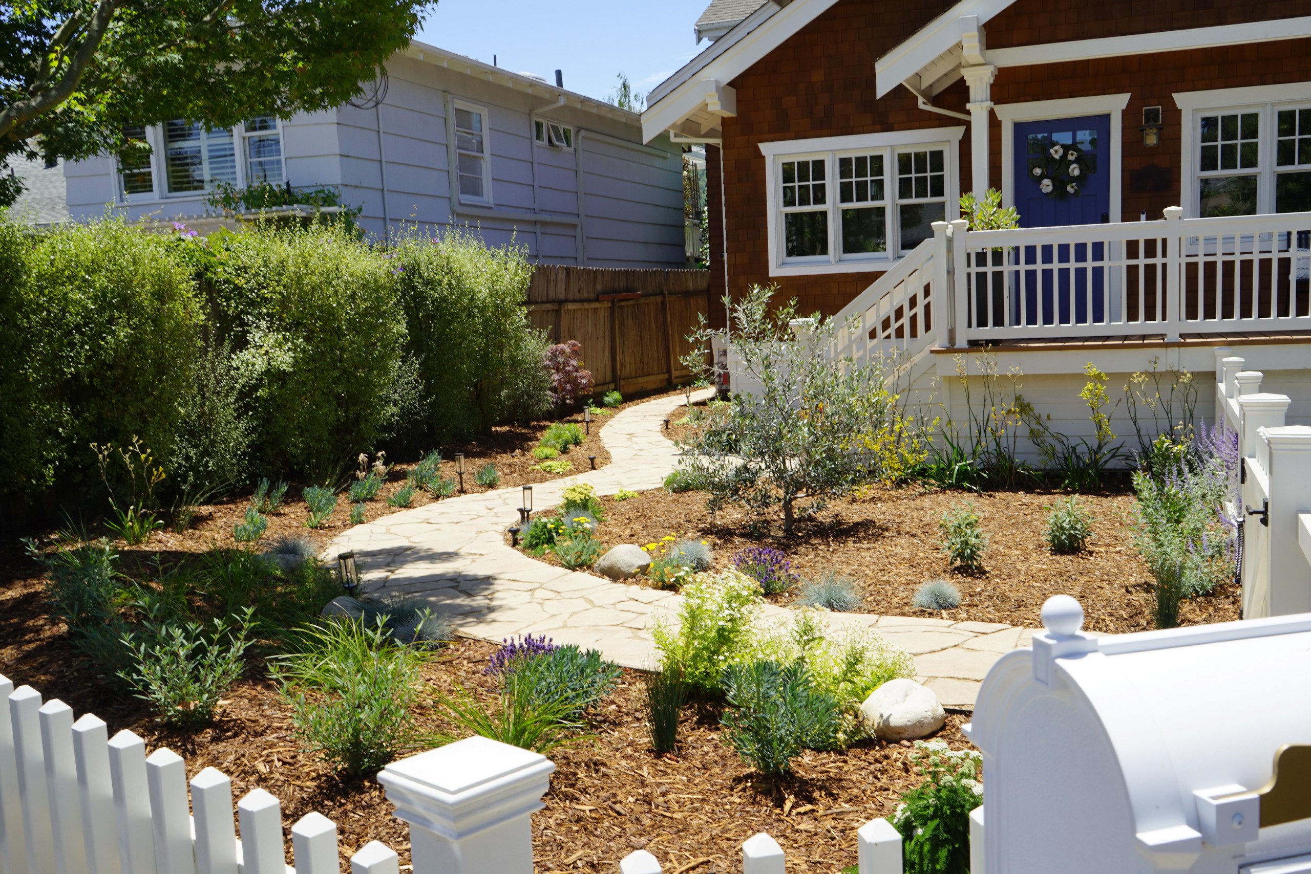 A Modern Take on the Cottage Garden