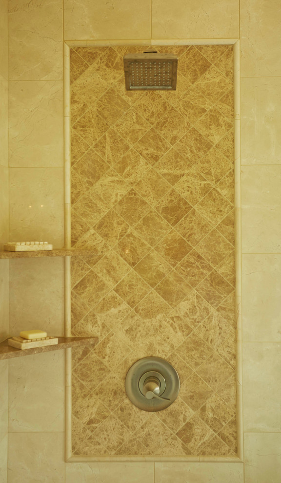 Transitional home design photo in Chicago