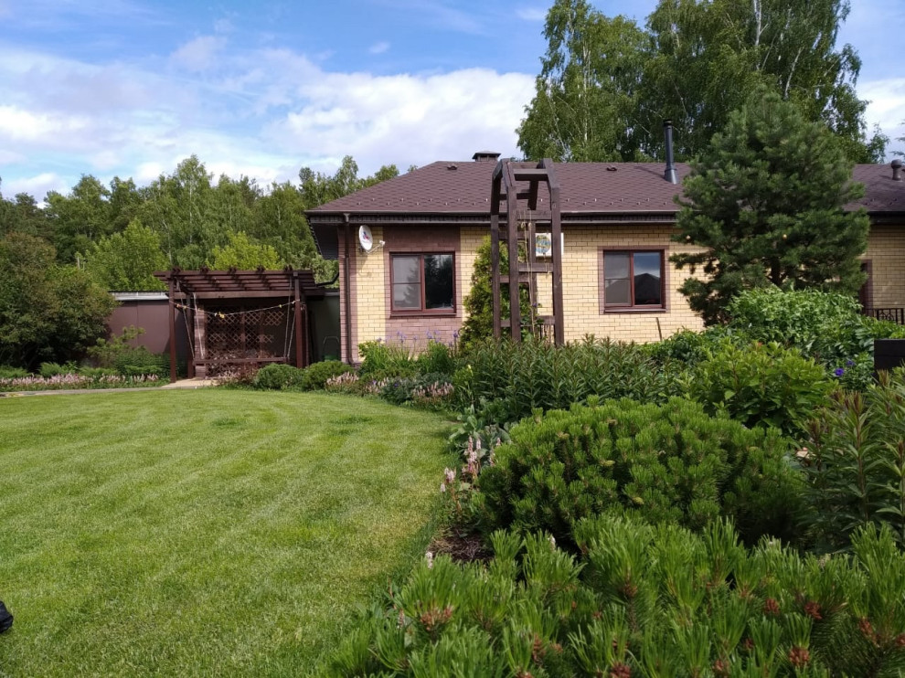 Сад в розовой дымке