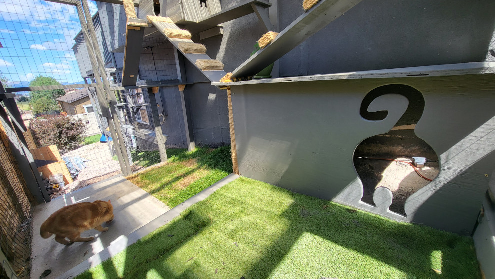 The Purr-fect Playground✨
