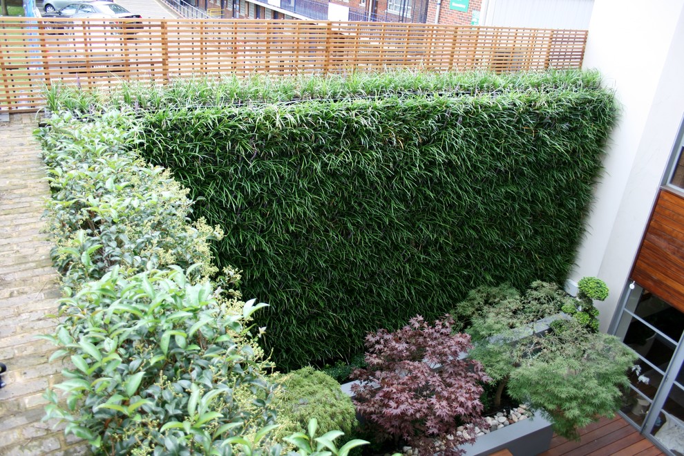 Photo of a small modern courtyard shaded formal garden for fall in London with a vertical garden and decking.