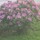 hannah_tewell
