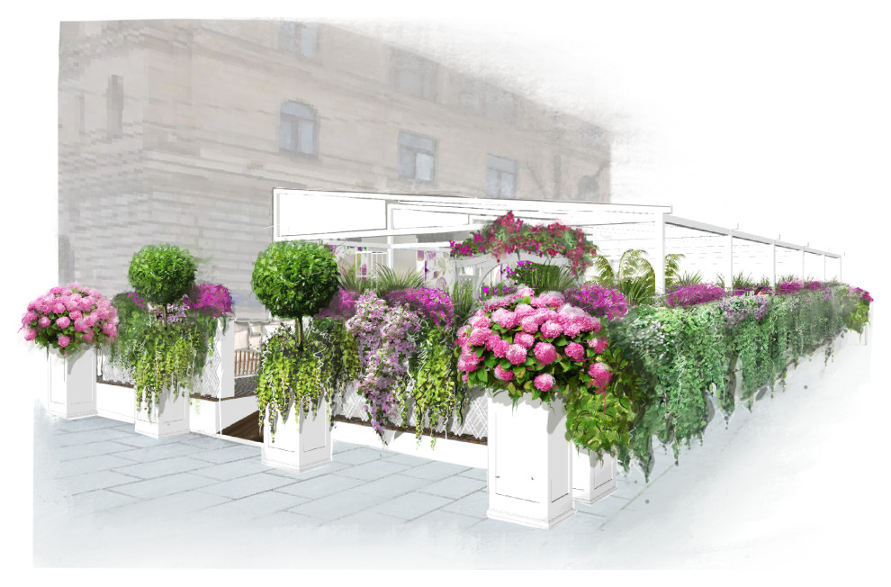 Озеленение летних веранд ресторанов