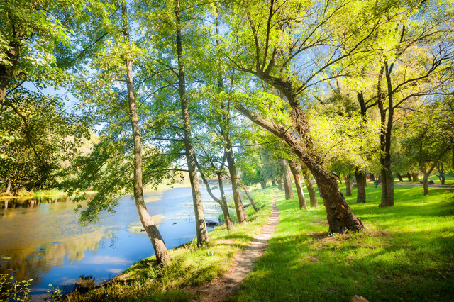 Riverside Path, Canvas Giclee, 12