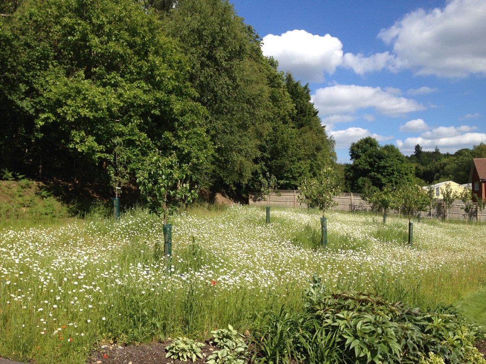 Expansive country backyard garden in Hampshire for summer.
