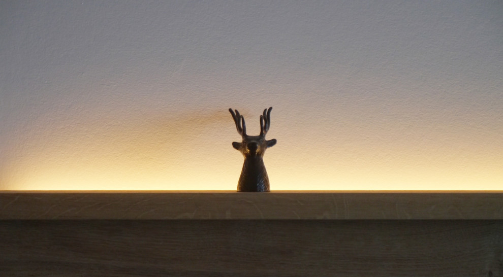 Ferienwohnung in modernem Alpenstil