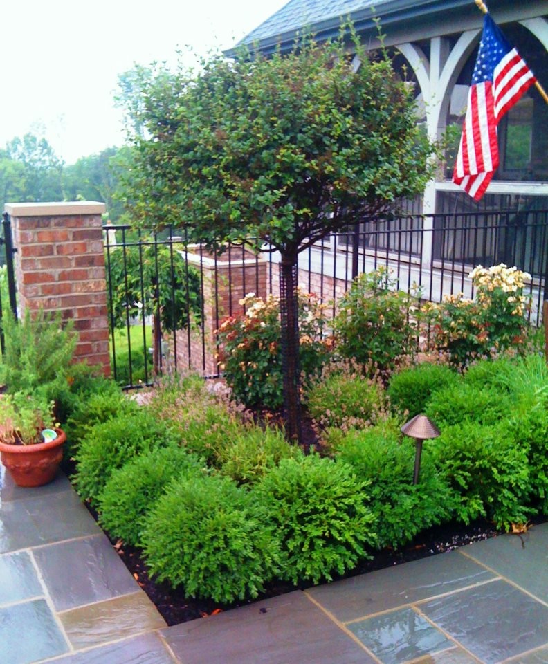 This is an example of a small transitional full sun backyard landscaping in Cincinnati for spring.