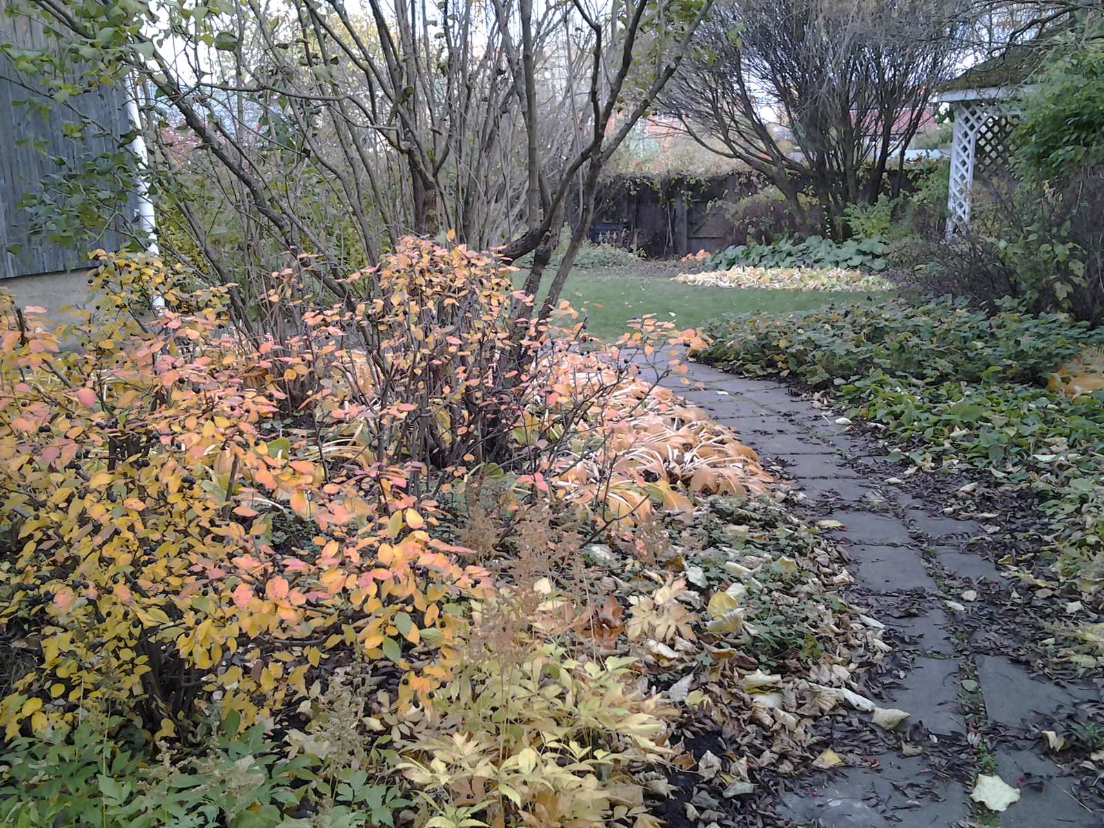 На берегу озера