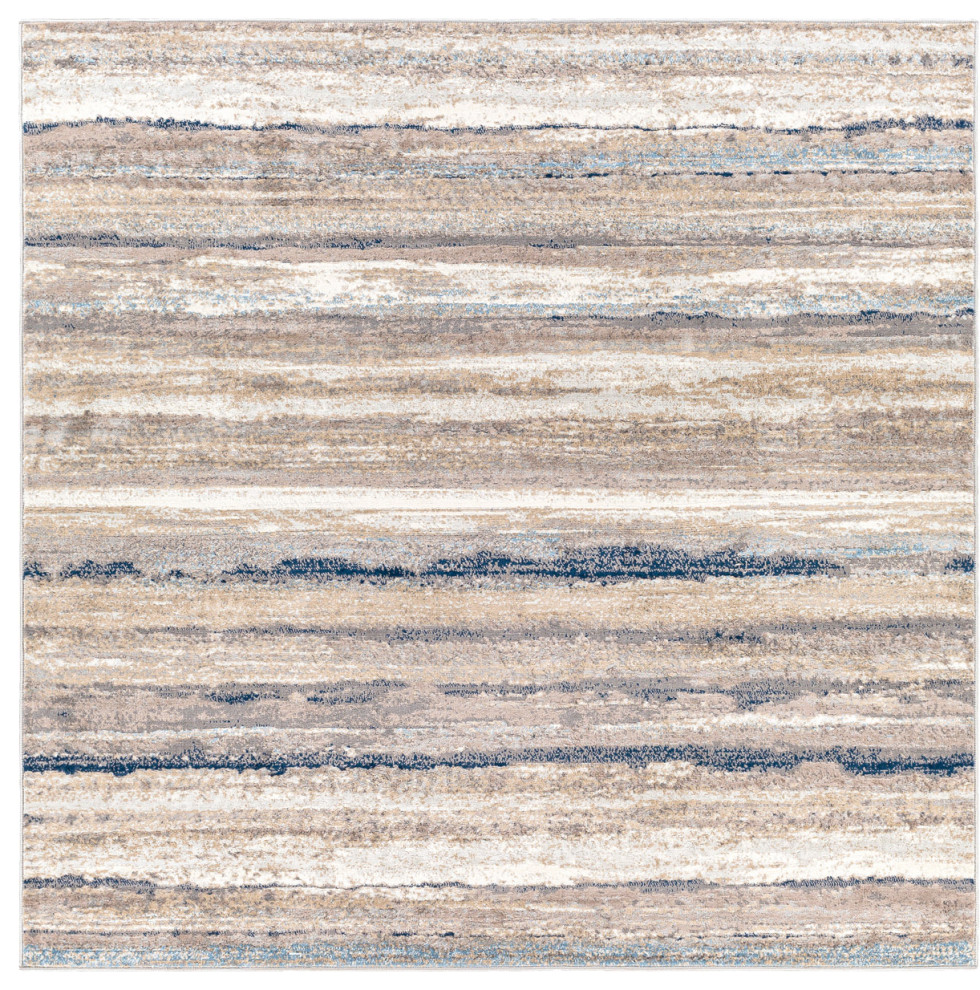 Roma Area Rug, 7 Ft Square - Contemporary - Area Rugs - by BuyAreaRugs ...