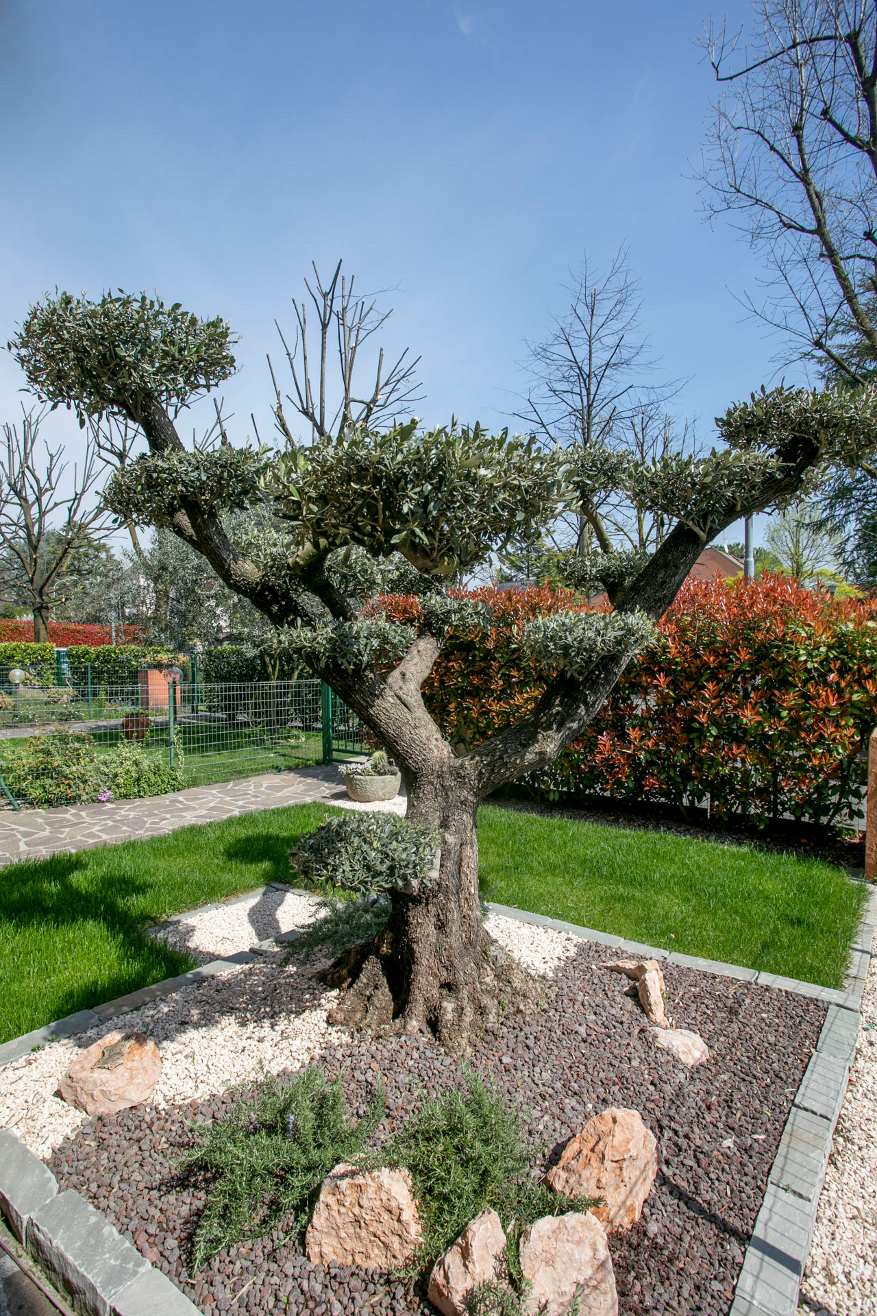 Tocchi di Rosa TR | 250 MQ