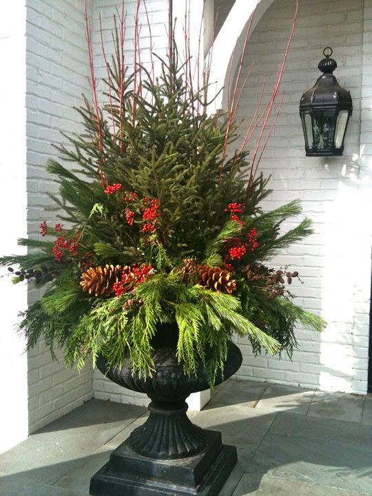 Christmas Live Planter at Front Door: Spruce, Red Twig Dogwood, berries, pine cones and fresh cut of mixed greens. Peter Atkins and Associates. LLC