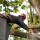 Electric City Tree Service