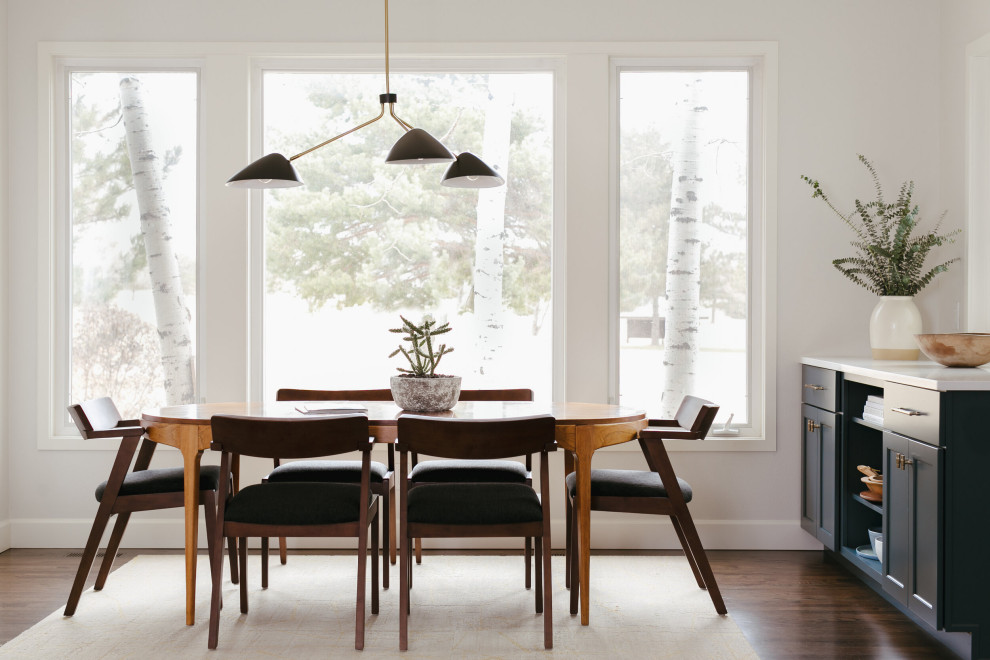 This is an example of a contemporary dining room in Denver.