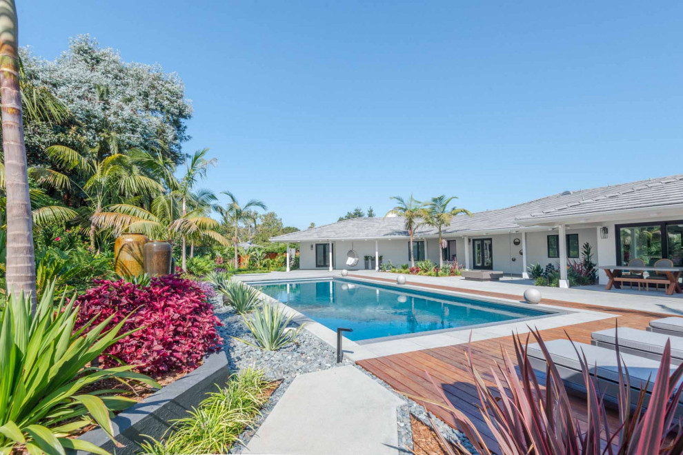 Imagen de piscina exótica rectangular en patio trasero con paisajismo de piscina y entablado