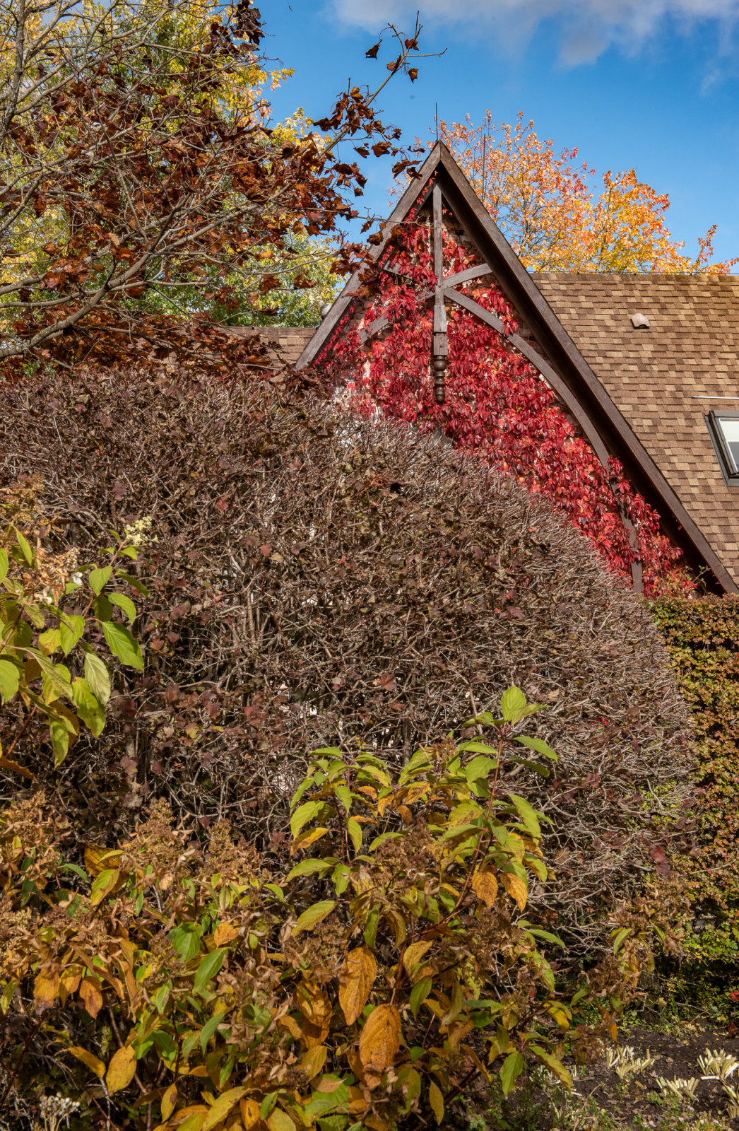 Ореховно. Музей-Усадьба.