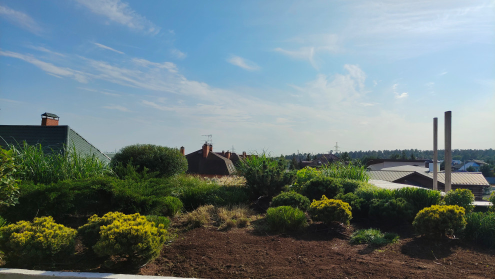 Сад на крыше