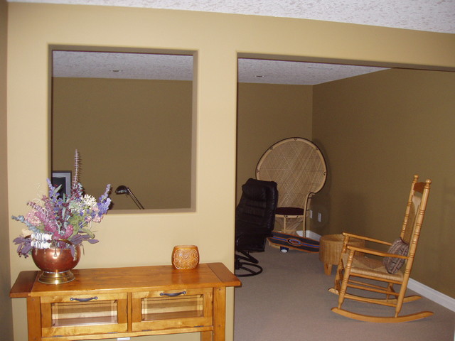 Basement Development transitional-basement