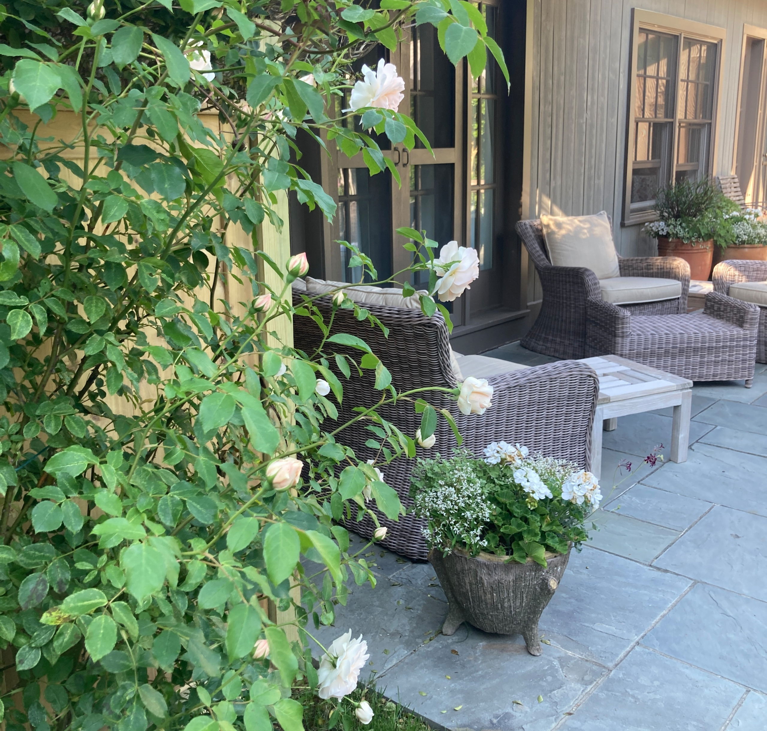 Spring and Summer Container Gardens
