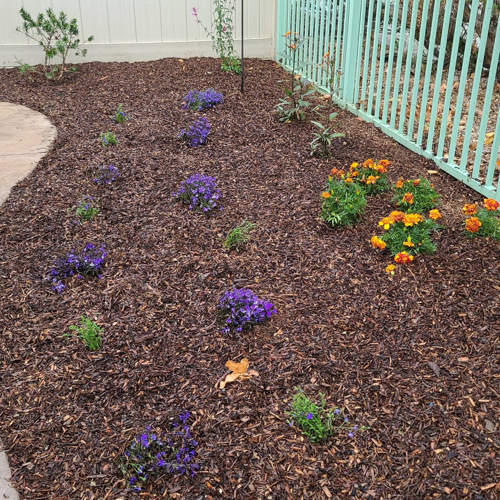 Inspiration for a small traditional back formal partial sun garden for summer in San Diego with a flowerbed and decomposed granite.
