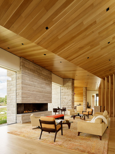 Lefty Ranch modern-living-room