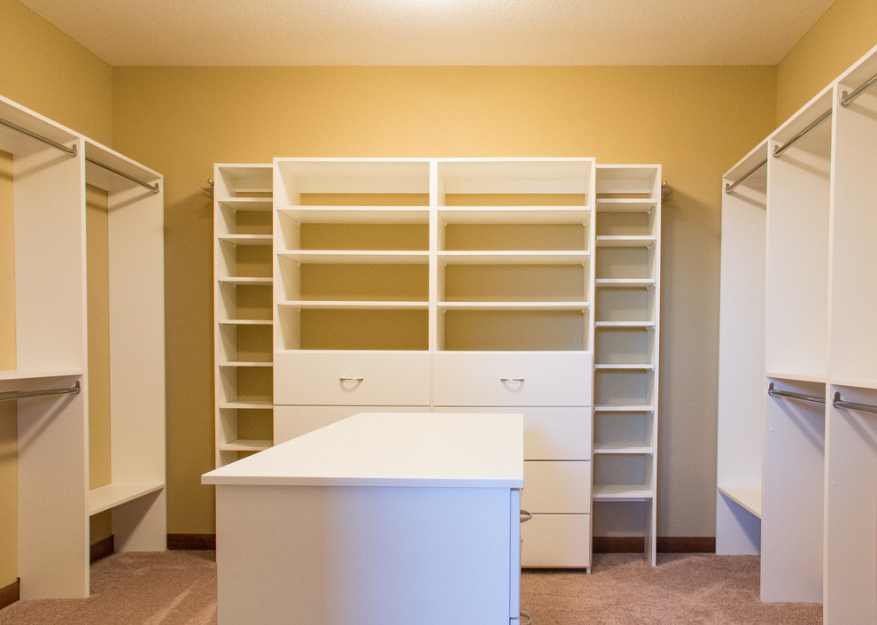 Inspiration for a traditional storage and wardrobe in Minneapolis with white cabinets and carpet.