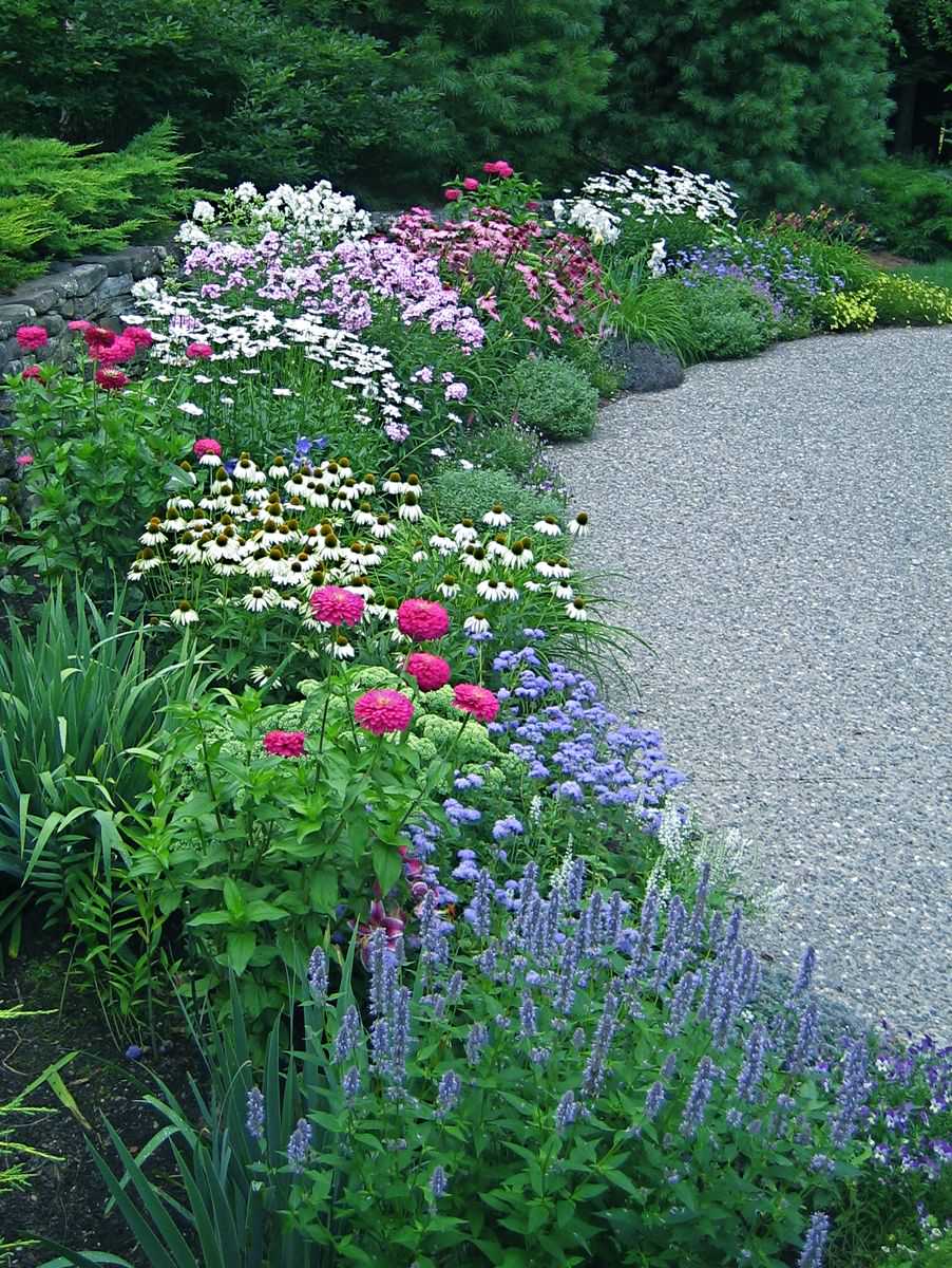 driveway perennial border by Peter Atkins and Associates