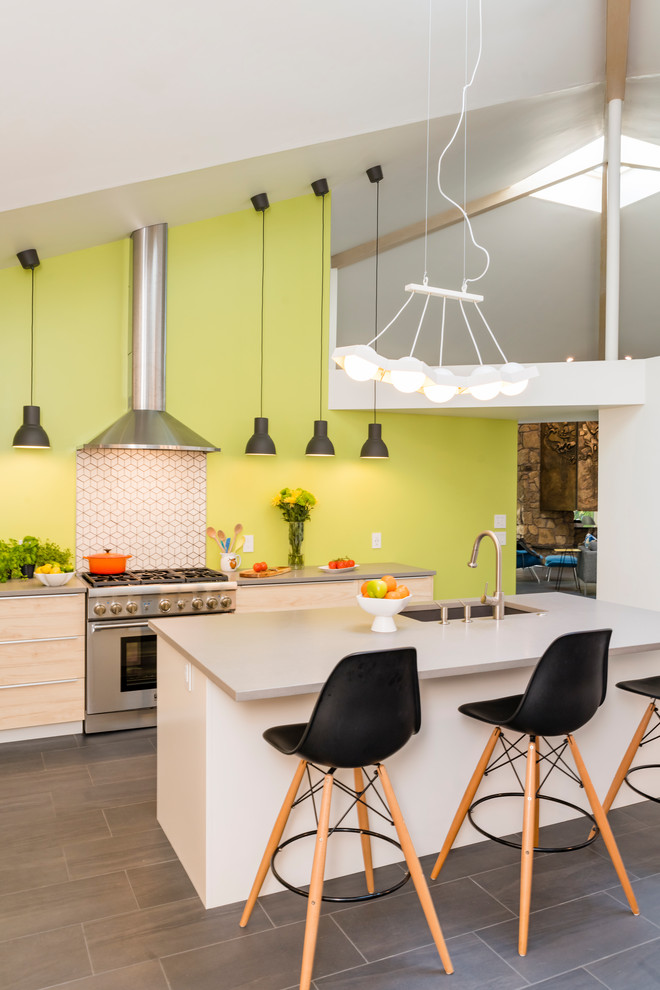 Trendy home design photo in San Francisco