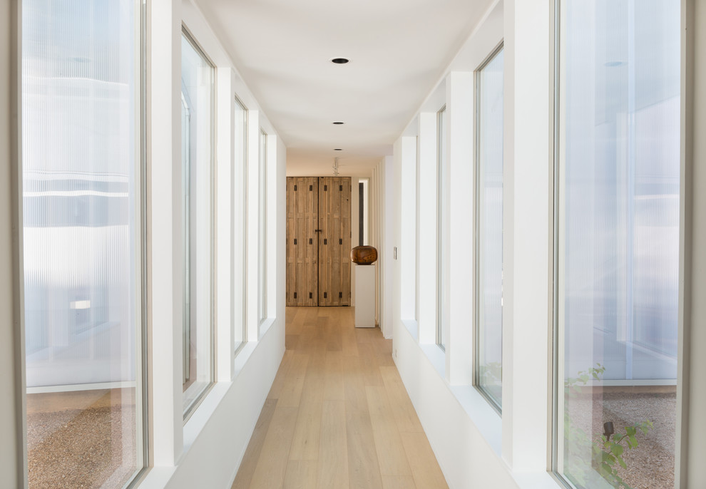 Photo of a modern hallway in Austin with white walls and light hardwood floors.