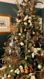 Houzz Readers Share Their Christmas Trees (20 photos)