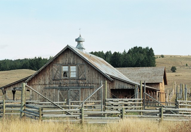Ghost Town country-shed