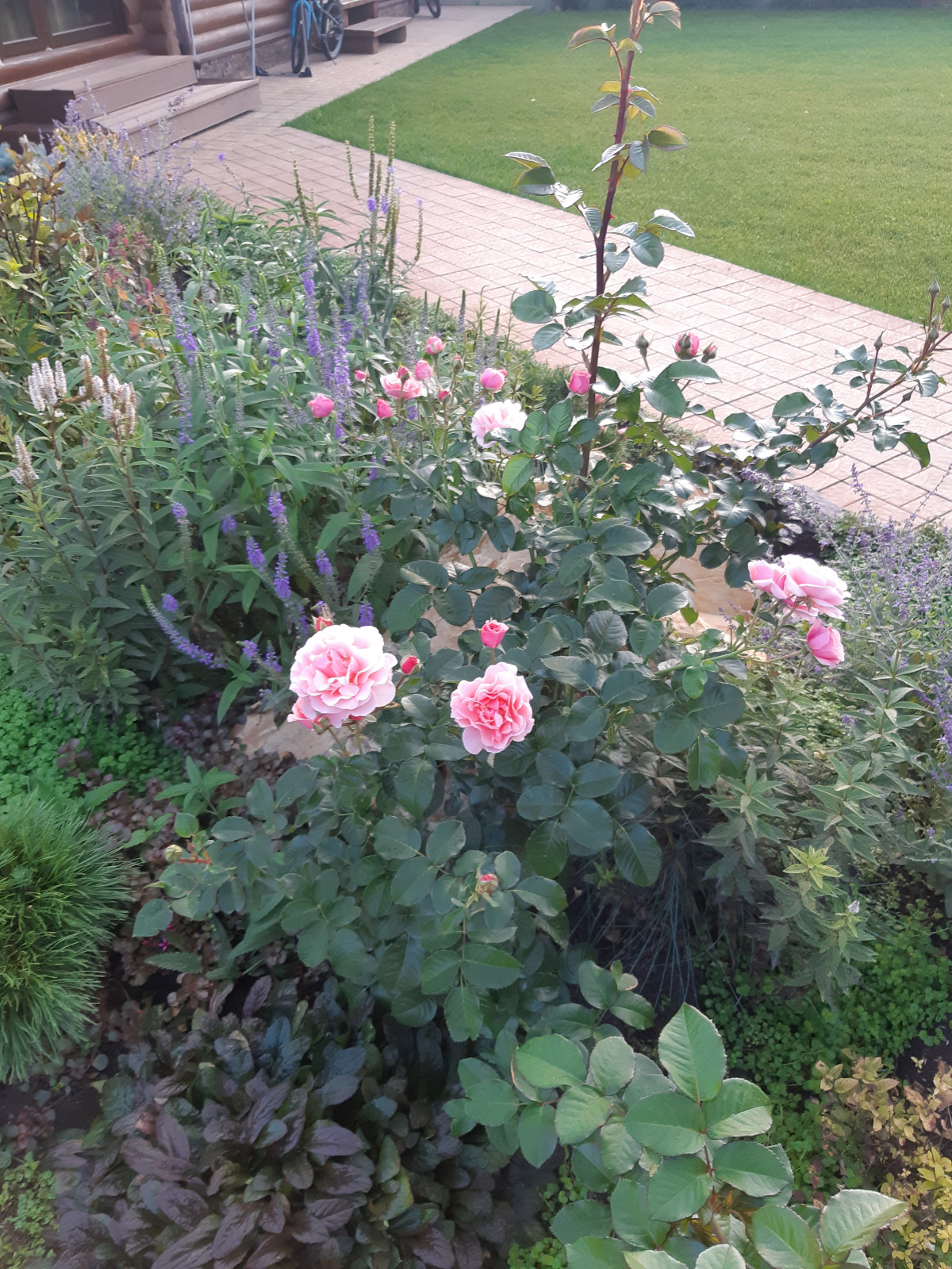 цветники, огород  " Теплые грядки"