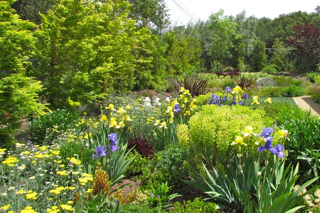 Los Altos Hills Mediterranean Garden contemporary-garden