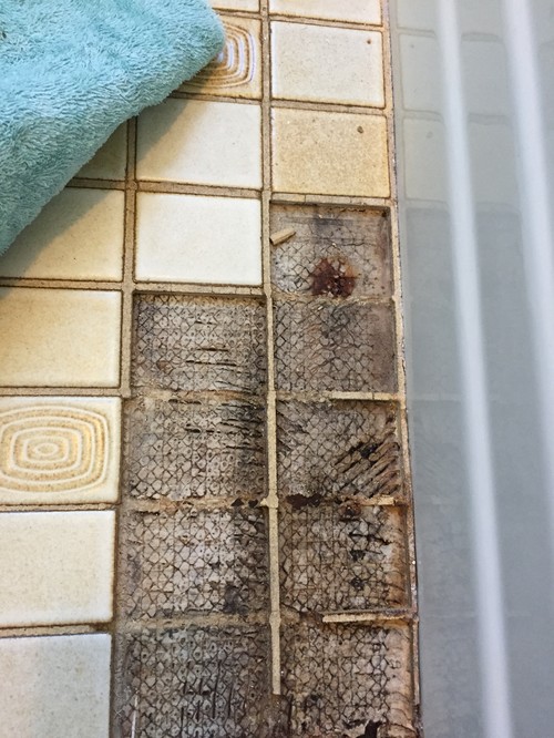 Rotten wood and mold under bathroom floor tile?