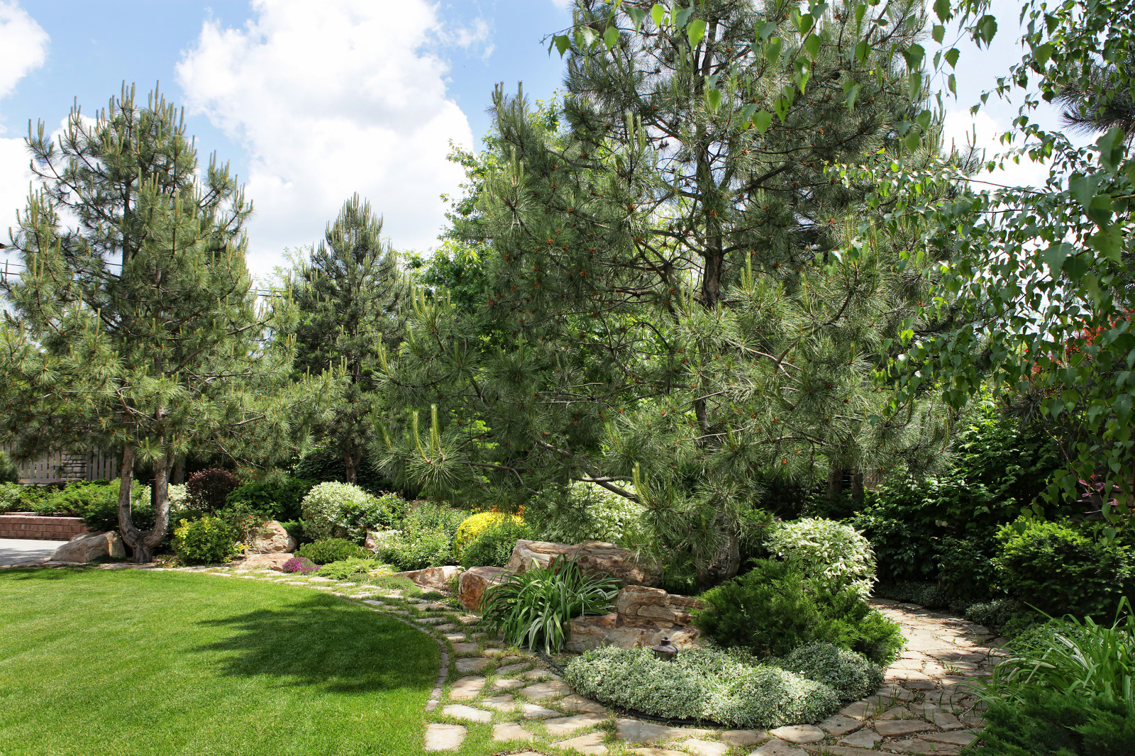 Лесная опушка