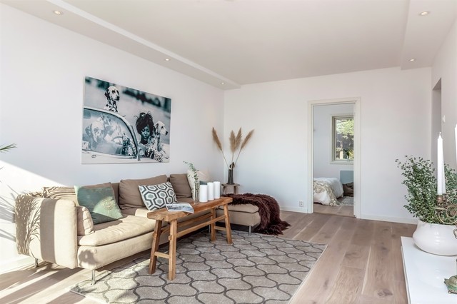 References scandinavian-living-room