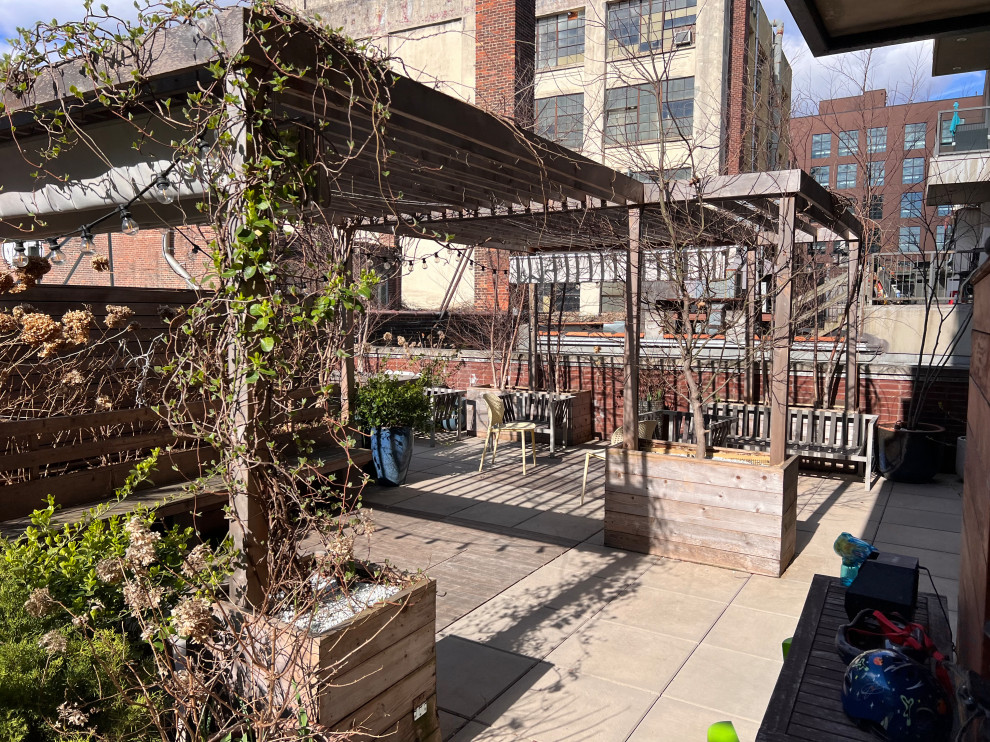 Williamsburg terrace